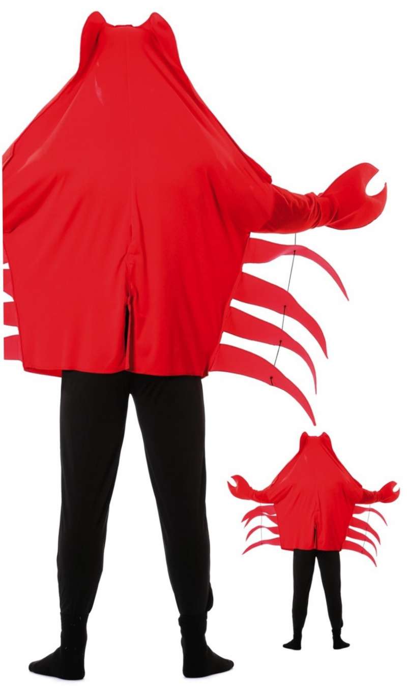 Traje de cangrejo con casco 🦀