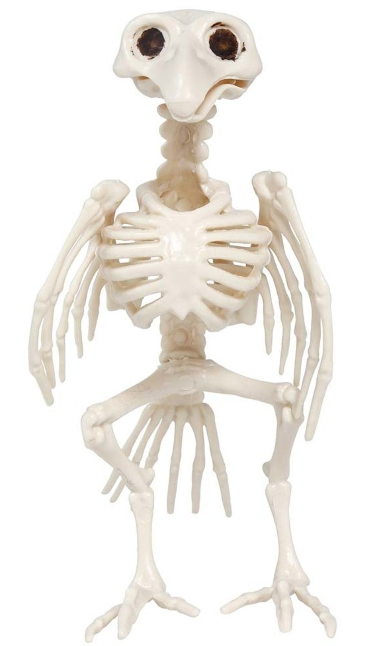 Esqueleto de Cuervo