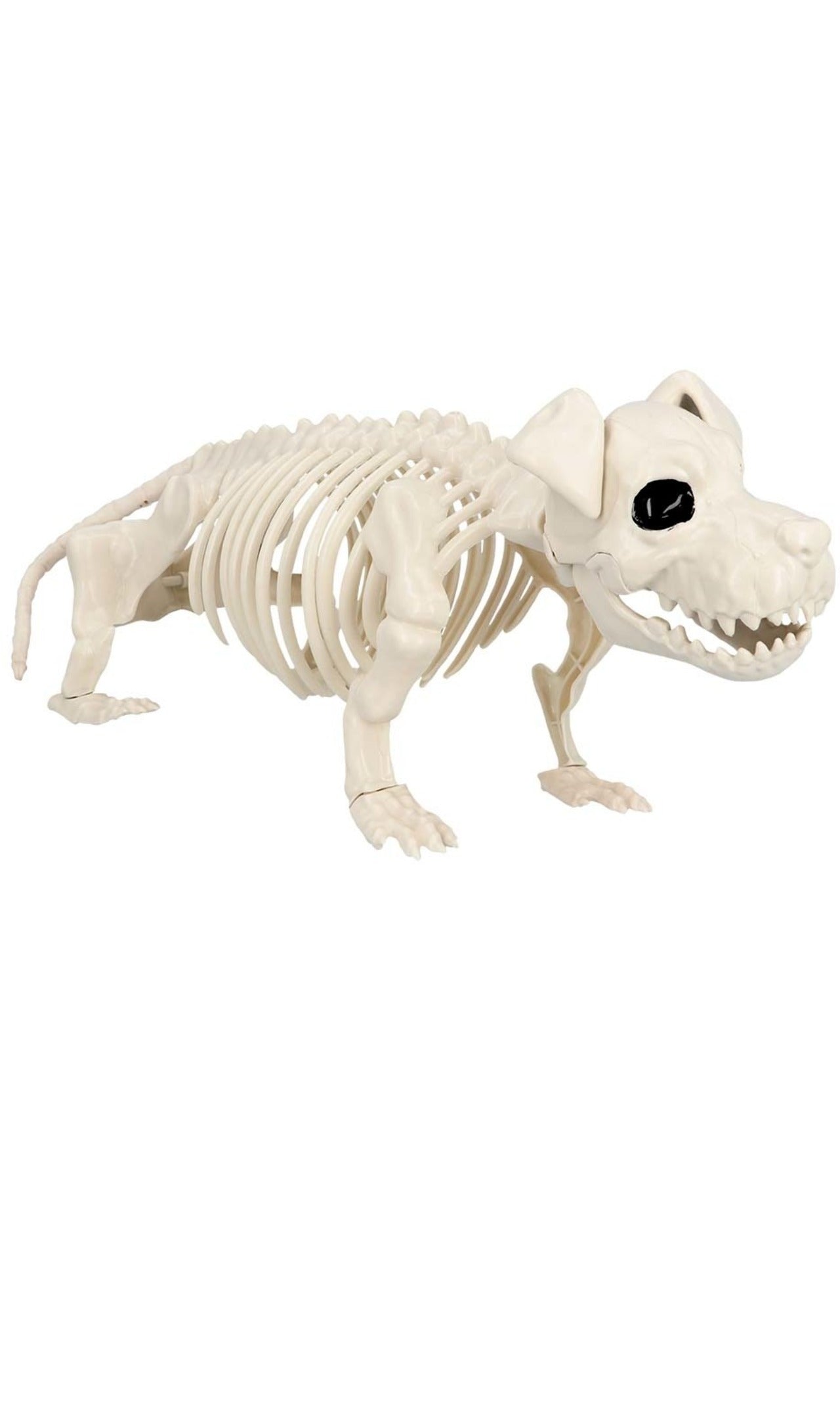 Esqueleto de Perro Guardián