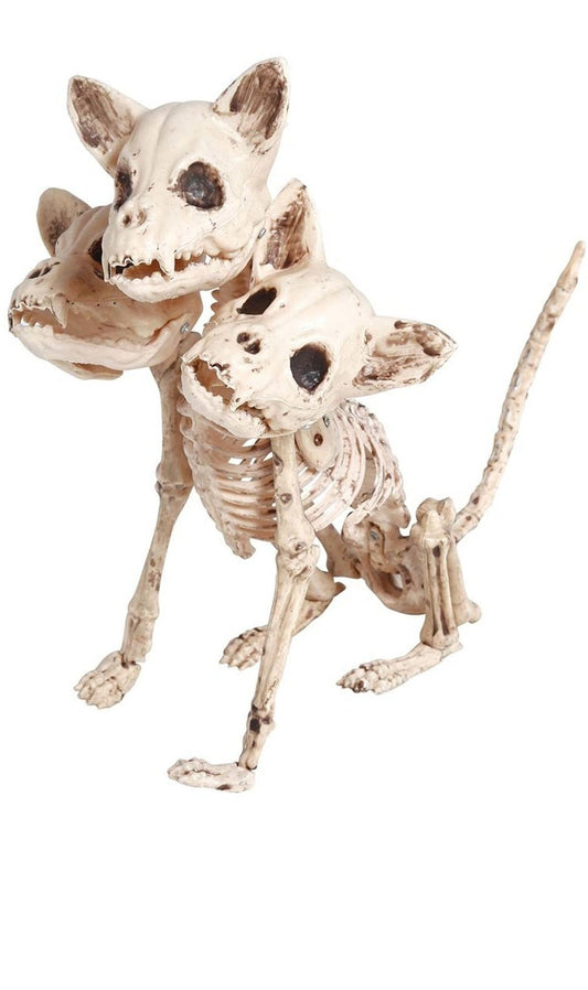 Esqueleto de Perro Triple Cabeza