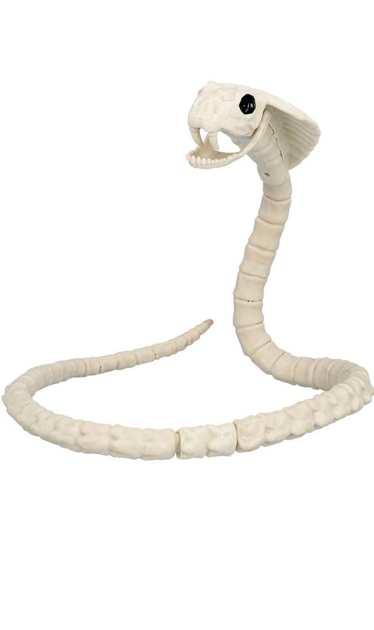 Esqueleto de Serpiente