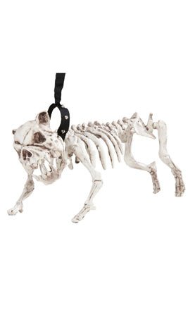 Esqueleto Perro