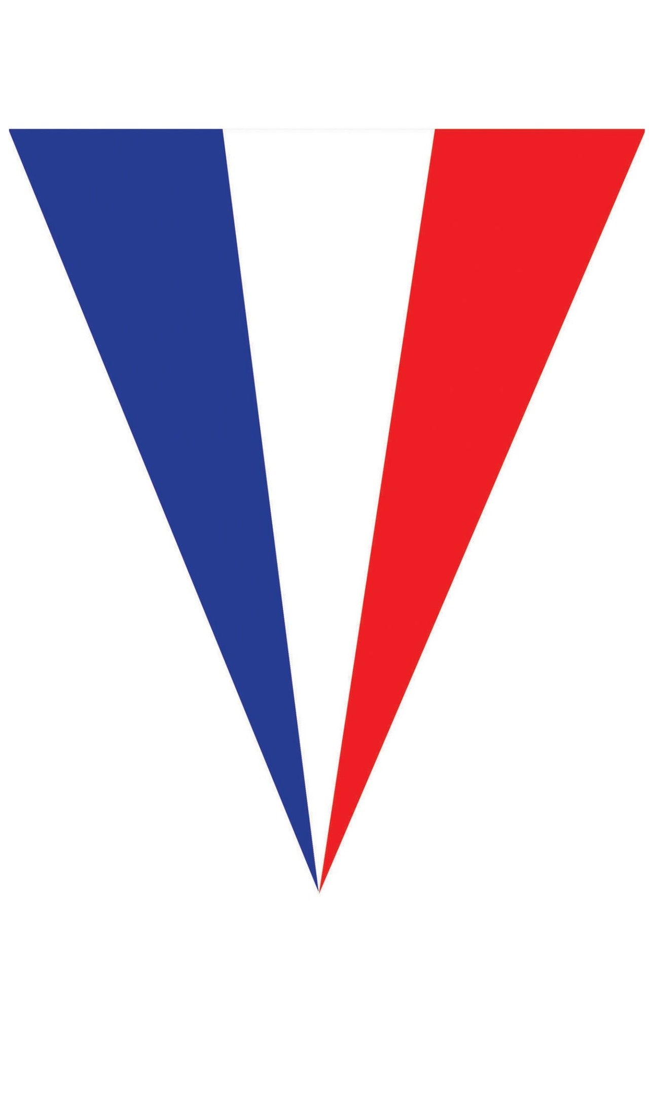 Guirnalda de Banderines Francia