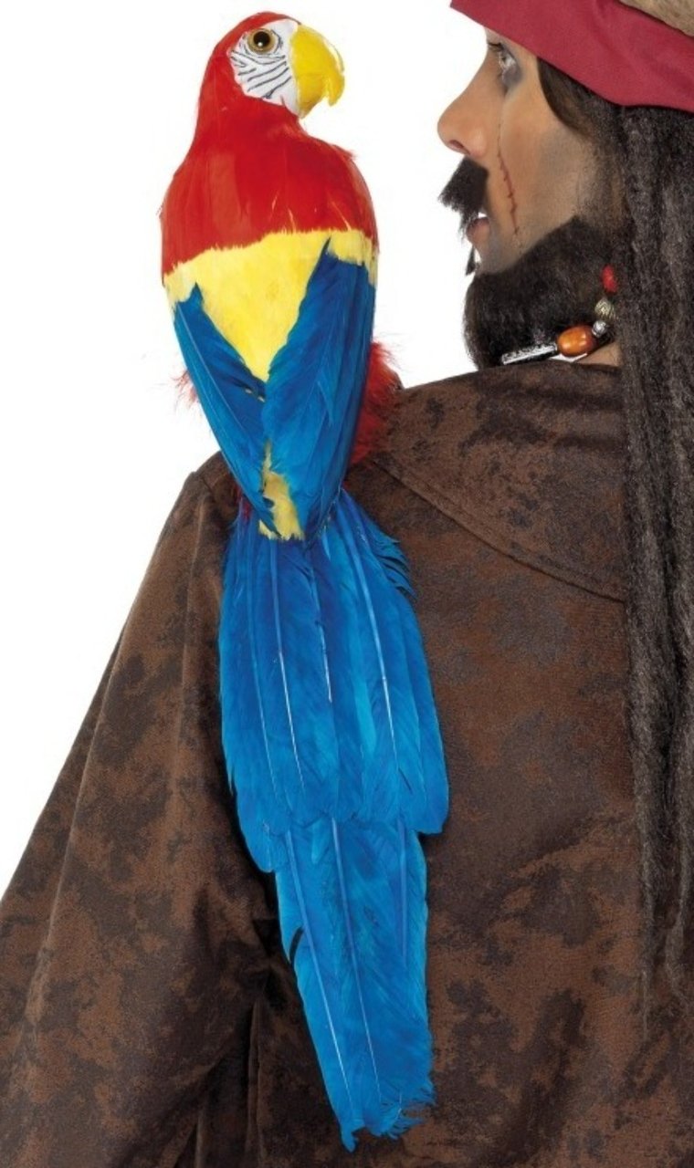 Loro Multicolor