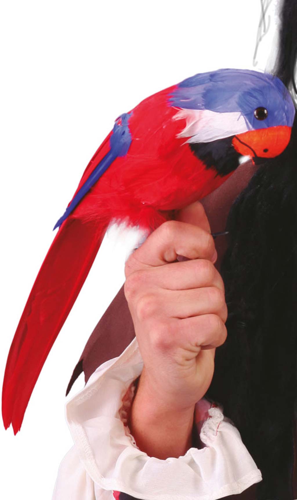 Loro Tropical