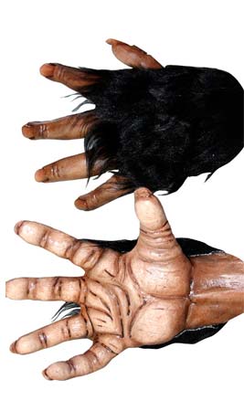 Manos Chimpancé