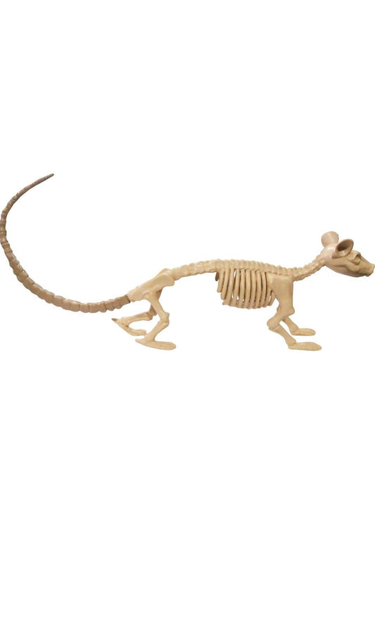 Esqueleto Rata